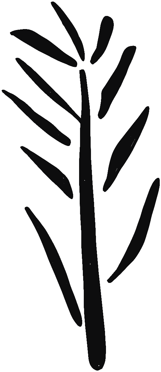 Image of the occurrence